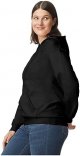 Unisex Adult Midweight Hoodie